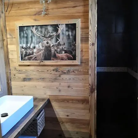Chalet Con Vistas Al Lago Matemale En Les * Les Angles (Pyrenees-Orientales)